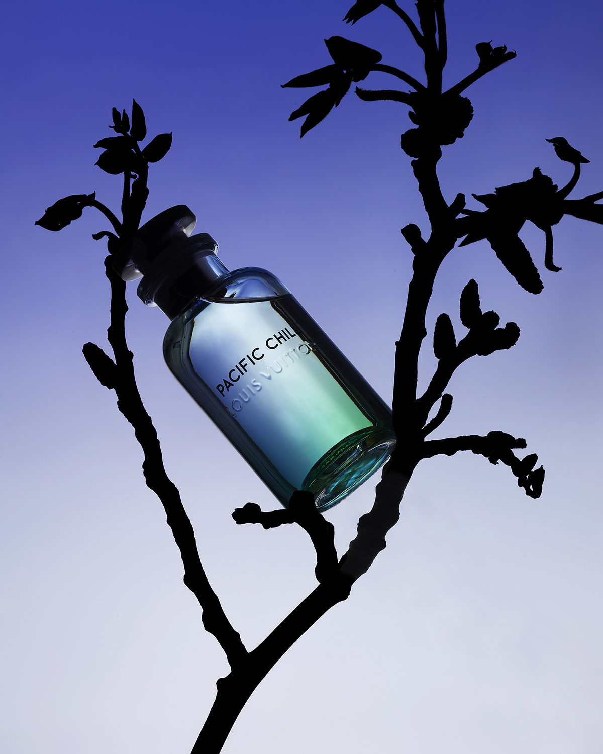 Stacked from 5 images. Method=B (R=10,S=7)