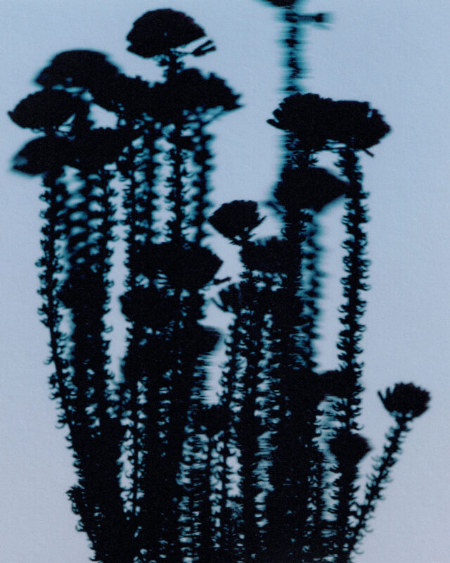 BEAUMONDEPARIS_FANETTEGUILLOUD_SPA01